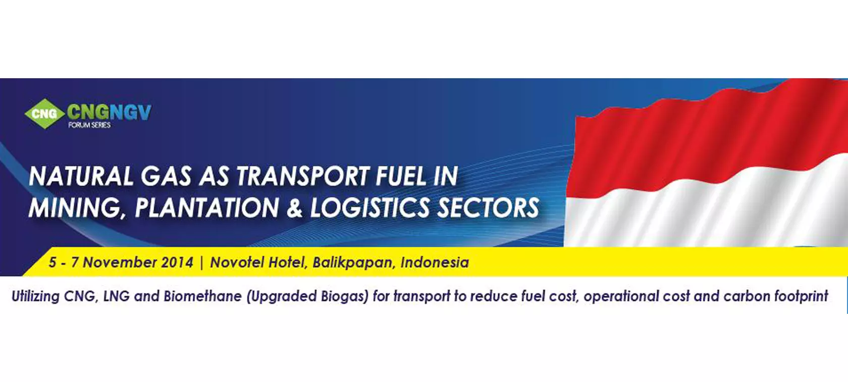 About NGVs in Indonesia