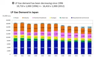The Japanese LPG market