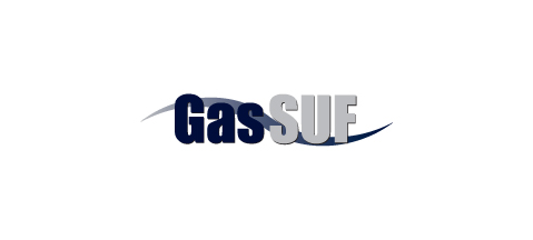 GasSUF 2014 - gas for transport once again!