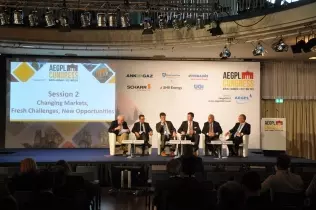 AEGPL Congress 2015 - panel discussion